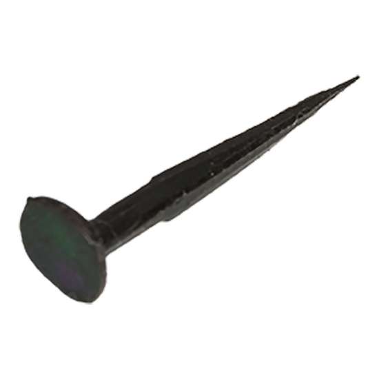 Afbeeldingen van Homefix stoffeernagel geblauwd 2.4x19 (50gr)