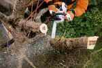 Afbeeldingen van Stihl MS 201 TC-M benzine kettingzaag