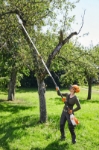 Afbeeldingen van Stihl HTA 135 Accu hoogsnoeier 30cm