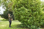 Afbeeldingen van Stihl HLA 135 Accu heggensnoeier