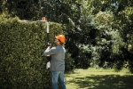 Afbeeldingen van Stihl HLA 56 Accu heggenschaar