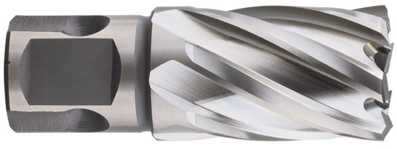 Afbeeldingen van HSS-XE Kernboor SILVER-LINE, universeel 19, ø15x30