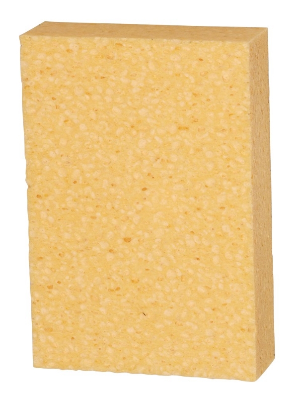 Afbeeldingen van Spons, 16x11cm