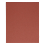 Afbeeldingen van 4Tecx Schuurvel 230mm x 280mm korrel 150 linn